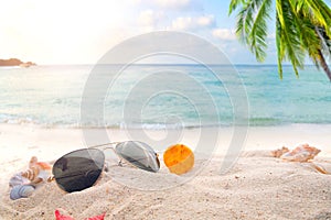 Sunglasses on sandy in seaside summer beach with starfish, shells, coral on sandbar and blur sea background.