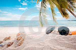 Sunglasses on sandy in seaside summer beach with starfish, shells, coral on sandbar and blur sea background