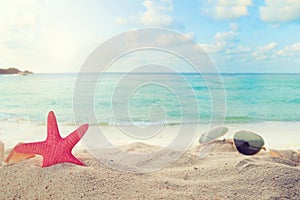 Sunglasses on sandy in seaside summer beach with starfish, shells, coral on sandbar and blur sea background