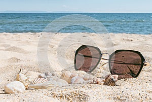 Sunglasses and seashells on white sand of tropical beach by seashore, summer seascape, sea relax and resort vacation