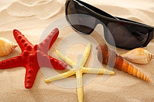 Sunglasses, seastar and seashells in sand