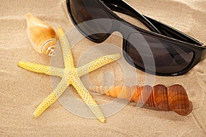 Sunglasses, seastar and seashells in sand