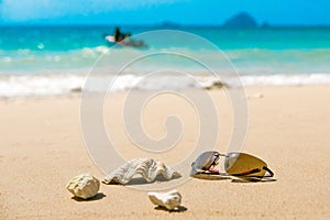 Sunglasses and shell on tropical beach with departing boat