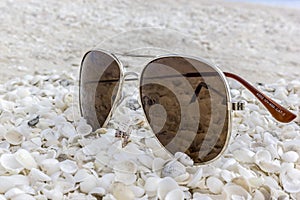 Sunglasses at the Shellbeach in Australia