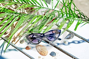 Sunglasses on a white bench, straw bag, palm leaves, shells. Beach holidays, travel, resort, eye protection