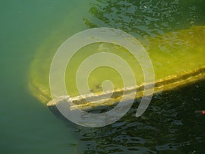 Sunk boat in the dirty green water
