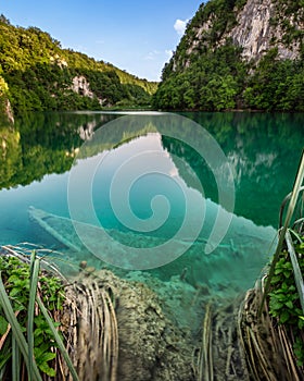 Sunk Boat in Plitvice Lakes National Park photo