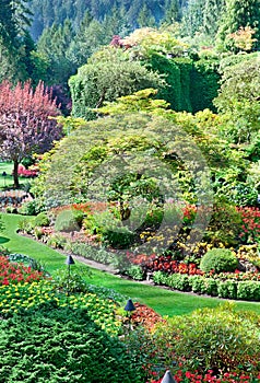 Sunken Garden at Butchart Gardens, Central Saanich, British Columbia, Canada