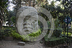 Sunken open-air archaeological park in Mexico City with a path leading to the Olmec head of 1200 BC before Christ among trees and