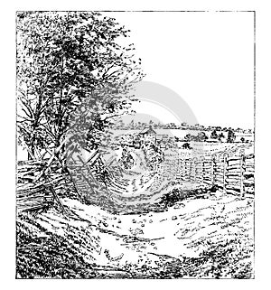 Sunken Road at Battle of Antietam, vintage illustration