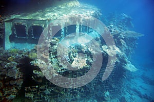 Sunken ship photo