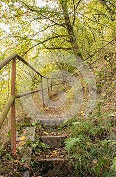 Sunken stairs with colorful leaves.