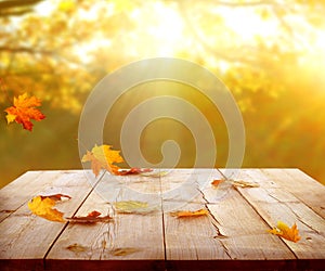 Sunlight in autumn forest. Landscape with yellow trees and sun. Colorful  foliage on wooden table. Falling  leaves natu