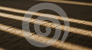 Sunlight casts diagonal shadows across a textured surface, creating alternating