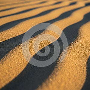 Sunlight casts over undulating sand dunes, creating a pattern of light