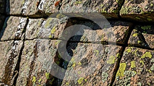 Sunlight casts shadows enhancing the three dimensional appearance