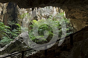 Sunlight through a cave hole in Thailand.