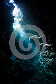 Sunlight and Dark Underwater Cave in the Solomon Islands