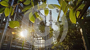 The sunlight filters through the canopy casting a warm glow on the pristine biofuel refinery below. The facility is a