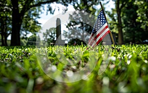 Sunlight filters through trees onto an American flag in a cemetery, honoring veterans on a somber Memorial Day.
