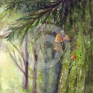 Sunlight forest wood coniferous tree spruce pine trunk with mushrooms and moss. Hand drawn watercolor illustration art