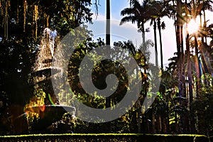 Sunlight on the Fountains of the Botanical Garden - Rio de Janeiro, Brazil photo