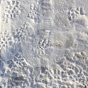 Sunlight fresh snow on the ectangle pavement