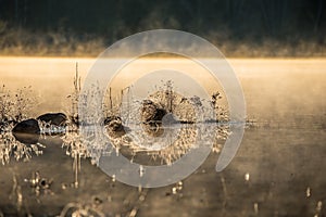 Sunlight glowing on frost coated rocks and grass at waters edge. chilled by overnight November air.