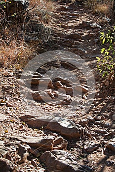 SUNLIGHT ON HIKING PATH WITH NATURAL ROCK STEPS