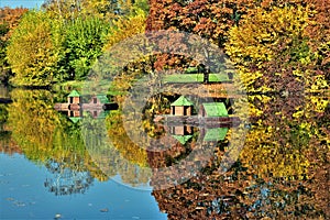 Sunlight illuminates the autumn foliage and reflects in the water of the lake.