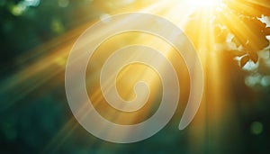 Sunlight With Lens Flare Effect