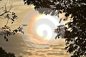 Sunlight in the morning sky and black tree shadows