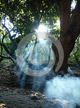 Sunlight in the morning