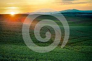 Sunlight over the farms and wheat fields