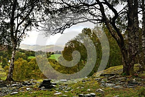 Sunlight over the Grassmere fells