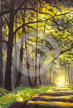 Sunlight park alley forest rural landscape Original artistic modern