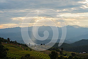 Sunlight ray shining on beautiful rice terraces