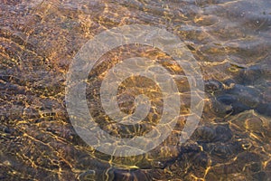 Reflection of sunlight under water makes beautiful pattern