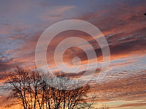 Sunlight reflected off of the clouds before sunset