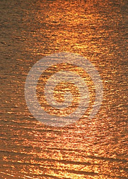 Sunlight reflected in the sea at sunset