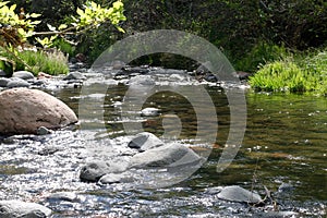 Sunlight reflecting off of running water in creek