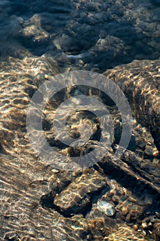 Sunlight reflection on underwater stones and rocks, Reshi river, Sikkim , India photo