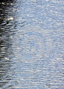 Sunlight Reflects on Blue Rippling Water