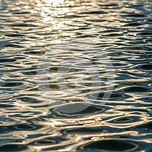Sunlight reflects off a rippled water surface creating a shimmering pattern