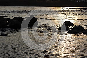 Sunlight reflects off the water