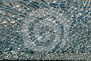 Sunlight shimmers through cracked glass pattern on window in close-up view, revealing shattered detail of a bright day.