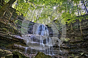 Sunlight shine through the tree in Sherman Falls, Hamilton, Ontario, Canada