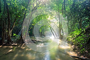 Sunlight shine in waterfall tropical rainforest