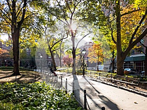 Sunlight shines through the colorful fall trees in Washington Square Park in New York City