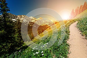 Sunlight shines on a dirt hiking trail in a Colorado Rocky Mountain landscape